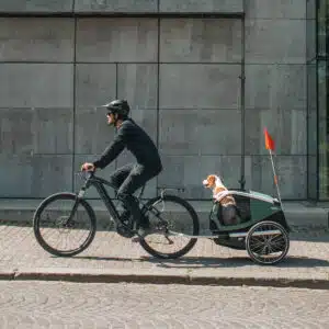 Thule Bexey Dog Trailer Medium pulled behind bike